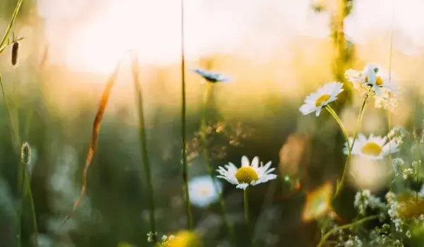 εαρινή ισημερία 2026 — GR news