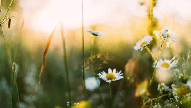 εαρινή ισημερία 2026 — GR news