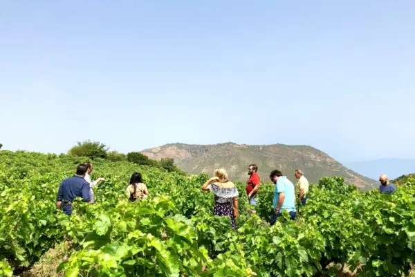 λαρισα — GR news