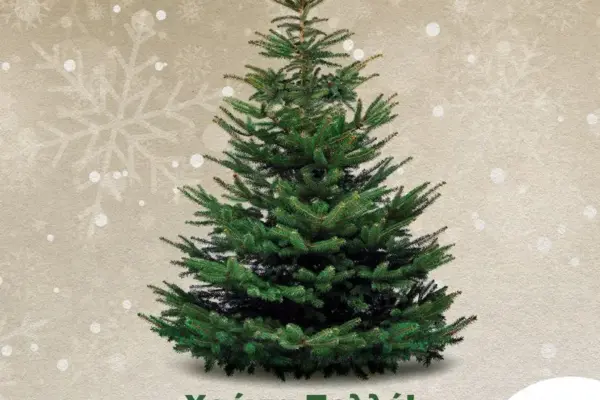 διευθυντήσ — GR news