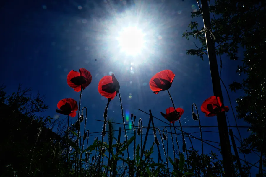 καιροσ πασχα — GR news