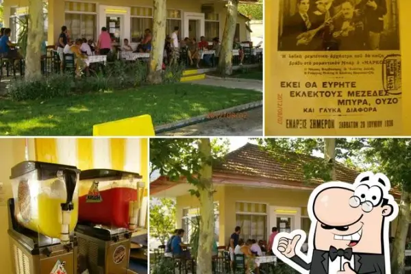 πιλότοσ — GR news