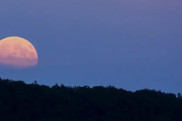 ροζ πανσέληνοσ — GR news