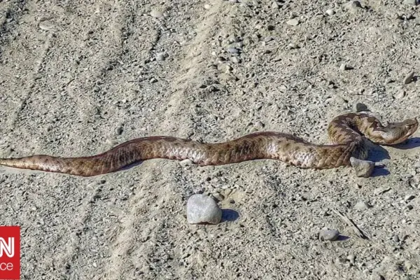 σύροσ — GR news