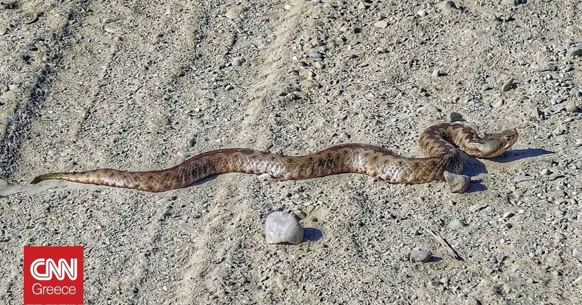 σύροσ — GR news